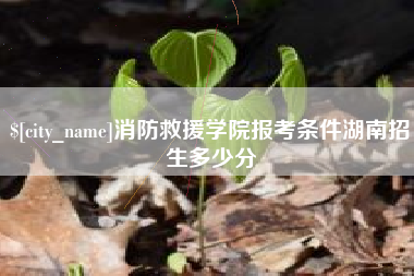 鄢陵消防救援学院报考条件湖南招生多少分
