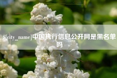 鄢陵中国执行信息公开网是黑名单吗