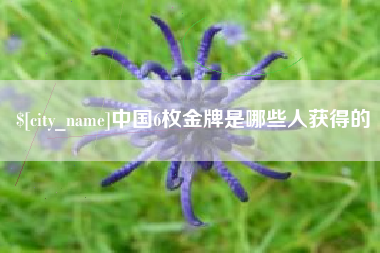 鄢陵中国6枚金牌是哪些人获得的