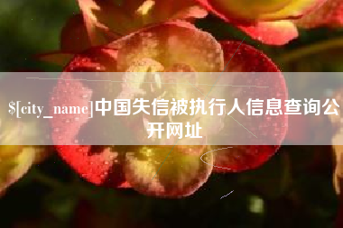 鄢陵中国失信被执行人信息查询公开网址