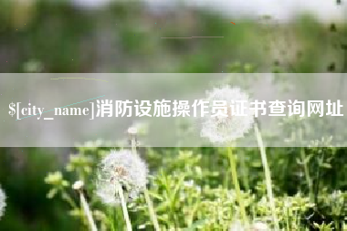 鄢陵消防设施操作员证书查询网址