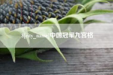 鄢陵中国冠军九宫格
