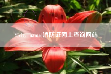 鄢陵消防证网上查询网站