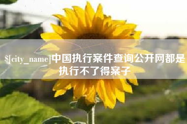 鄢陵中国执行案件查询公开网都是执行不了得案子