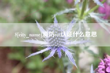 鄢陵消防ccc认证什么意思