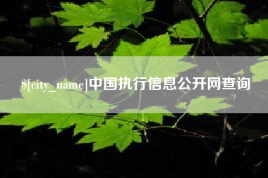 鄢陵中国执行信息公开网查询