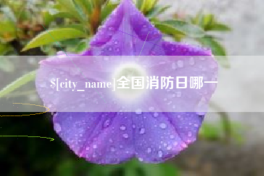 鄢陵全国消防日哪一