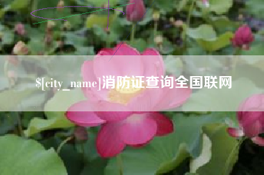 鄢陵消防证查询全国联网