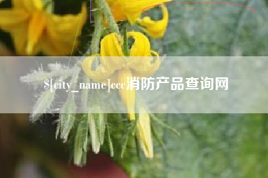 鄢陵ccc消防产品查询网