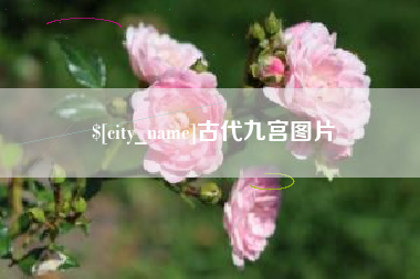 鄢陵古代九宫图片