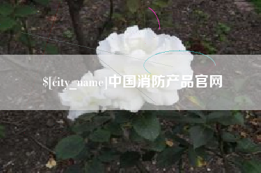 鄢陵中国消防产品官网