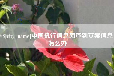 鄢陵中国执行信息网查到立案信息怎么办
