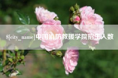 鄢陵中国消防救援学院招生人数