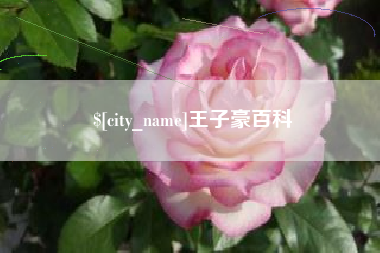 鄢陵王子豪百科
