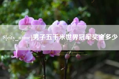 鄢陵男子五千米世界冠军奖金多少