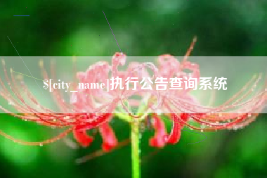 鄢陵执行公告查询系统