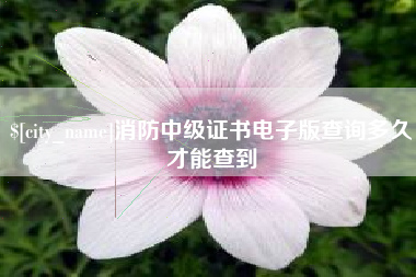 鄢陵消防中级证书电子版查询多久才能查到