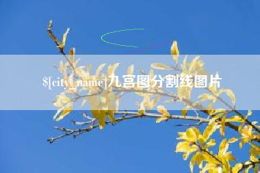鄢陵九宫图分割线图片