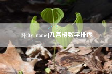 鄢陵九宫格数字排序