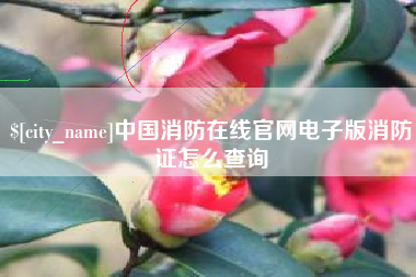 鄢陵中国消防在线官网电子版消防证怎么查询