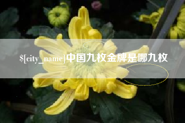 鄢陵中国九枚金牌是哪九枚