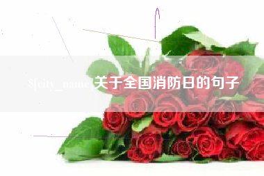 鄢陵关于全国消防日的句子