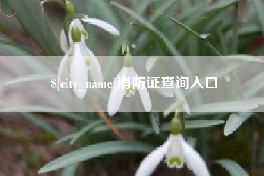 鄢陵消防证查询入口