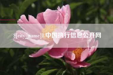 鄢陵1.中国执行信息公开网