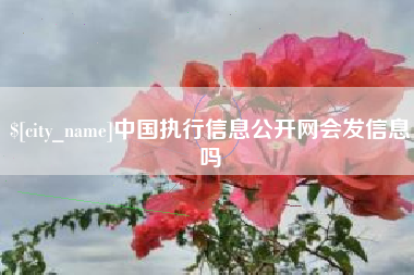 鄢陵中国执行信息公开网会发信息吗