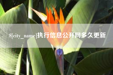 鄢陵执行信息公开网多久更新