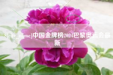 鄢陵中国金牌榜2024巴黎奥运会最新