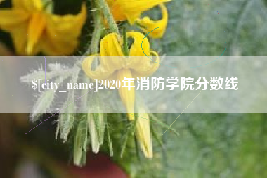 鄢陵2020年消防学院分数线