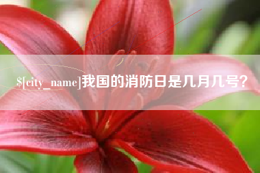 鄢陵我国的消防日是几月几号？