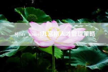 鄢陵九宫格人才管理策略