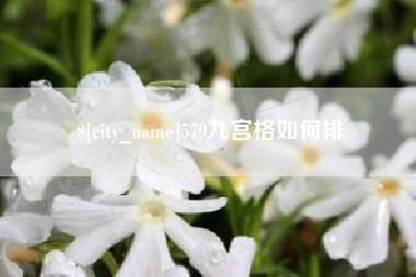 鄢陵579九宫格如何排