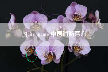 鄢陵中国消防官方
