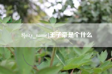 鄢陵王子豪是个什么
