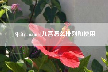 鄢陵九宫怎么排列和使用