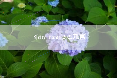 鄢陵2022九宫