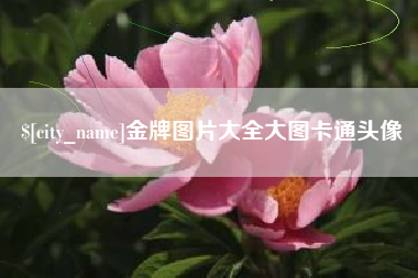 鄢陵金牌图片大全大图卡通头像