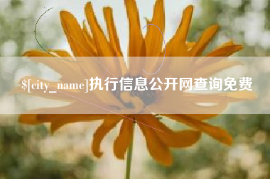 鄢陵执行信息公开网查询免费